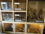 Výlet do Ekocentra Mladá Boleslav - Jaro všemy smysly